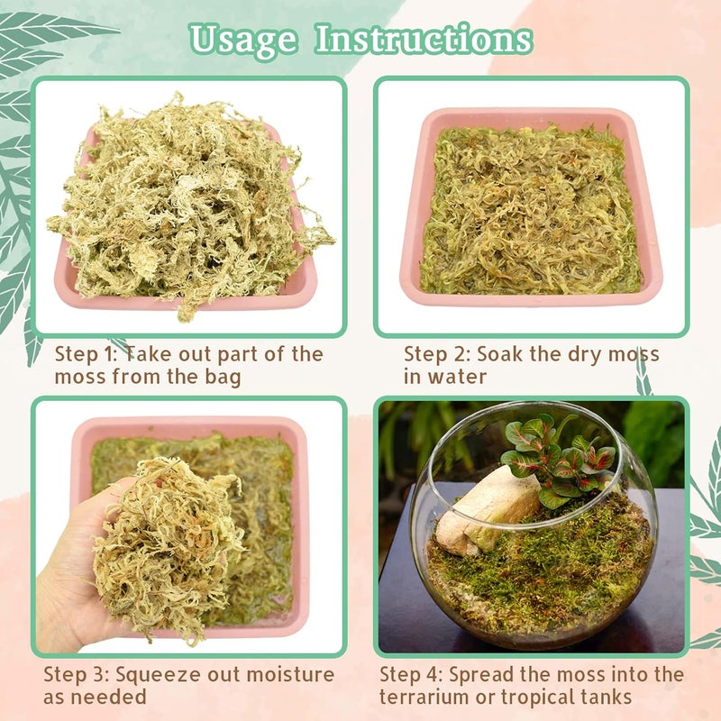 Riare 14OZ Premium Sphagnum Moss for Reptiles- 20QT Natural Reptile Moss Dried, Forest Live Moss for Terrarium, Frogs Snake Peat Moss Bedding for Leopard Gecko Turtle Anoles Salamanders Orchids - Image 4